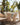 Gartenmöbel für Terrasse, Garten und Poolbereich