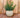 RUNDER BLUMENTOPF BEGONIA 60