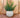 RUNDER BLUMENTOPF BEGONIA 60