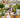 Couchtisch Capri 40