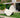 PACK 2x COZUMEL SONNENLIEGE