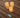 LAMPEN IM KERZENFORMAT DOLO PACK 3