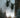 BLUMENTOPF FICUS 80 LICHT