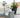 RUNDPFLANZE GIRASOL 90