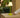 TISCHLAMPE LOLA SLIM 30 LIME