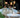 TISCHLAMPE LOLA 20 LUX