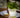 RUNDE BLUMENTOPF MAGNOLIA 30 CM LICHT