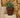 RUNDE BLUMENTOPF MAGNOLIA 30 CM