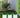 QUADRATISCHE PFLANZE MIT LICHT NARCISO 40
