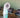 Tragbarer Lautsprecher mit Licht Pipa Play